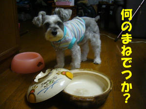 引っ越したい1