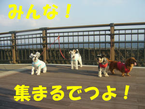 またね1