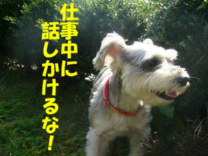 パトロール2