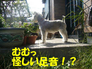 パトロール3