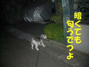 目力ビーム1