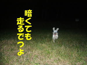 目力ビーム3