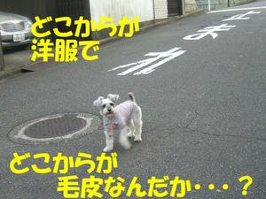 日曜のお父さん１