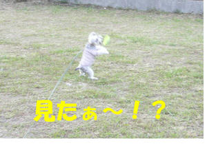 見て4