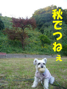 見て5