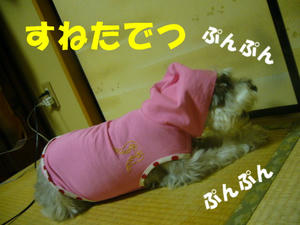 ラッパーCOCO2