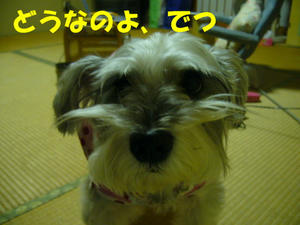 ラッパーCOCO3