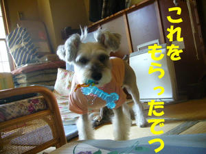 HAppy3