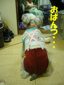 おぱんつ1