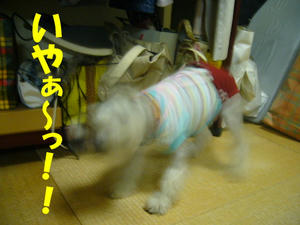 おぱんつ3