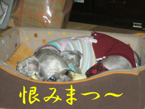 おぱんつ4