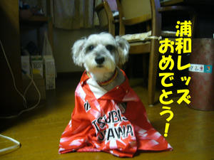 レッズ2