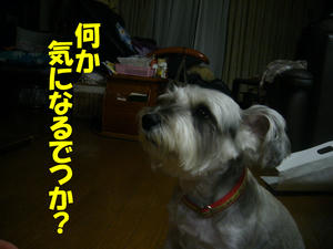 眉毛１