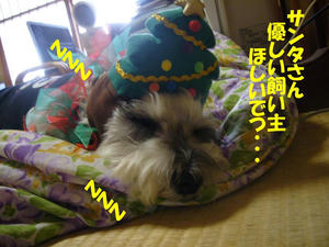 クリスマス5