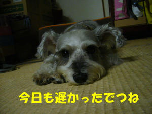 年末1