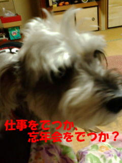 年末3