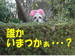 謹賀新年２