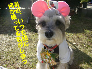 謹賀新年４