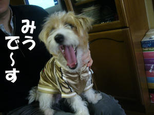 みう1
