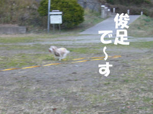 みう2