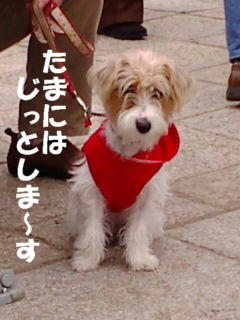 みう5