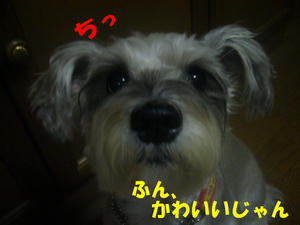 みう6