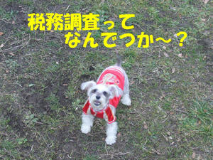 いいわけ
