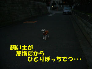 いいわけ3