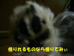 いいわけ4