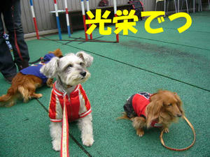 オフ会2