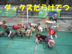 オフ会3