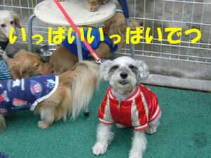 オフ会4