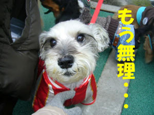オフ会5