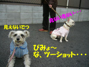 ブヒ6