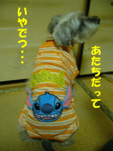 買いすぎ6