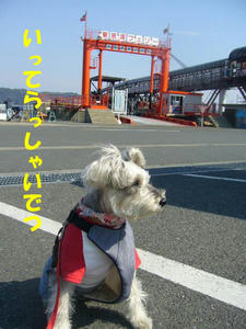おみおくり1