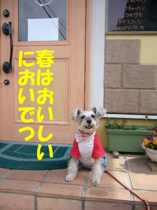 おみおくり6