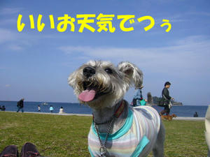 春でつ1