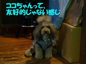 春でつ6