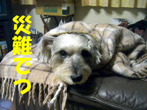 病人