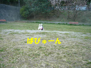 おしゅうとめ１