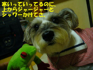 c8f709a7.JPG