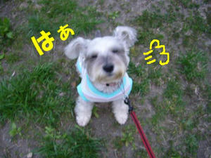 集合6