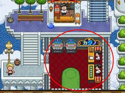 dq9.JPG