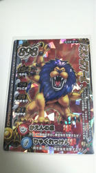 lion.JPG