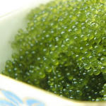 umibudou011.jpg