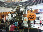 P1010955-300-400.jpg
