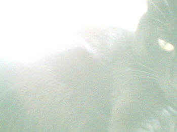 P001.jpg