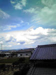 20080807115819.jpg