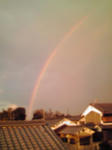 20081129161729.jpg